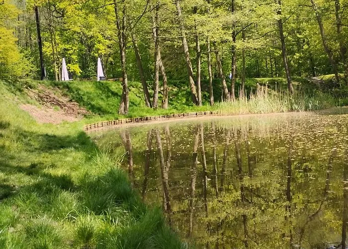 Zdroj דירה Jastrzębie Zdrój